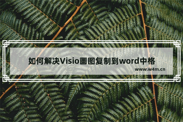 如何解决Visio画图复制到word中格式不正确的问题