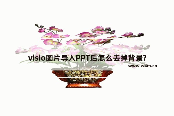 visio图片导入PPT后怎么去掉背景?