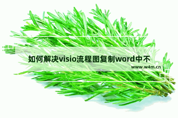 如何解决visio流程图复制word中不显示