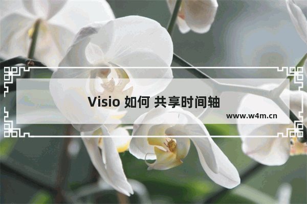 Visio 如何 共享时间轴