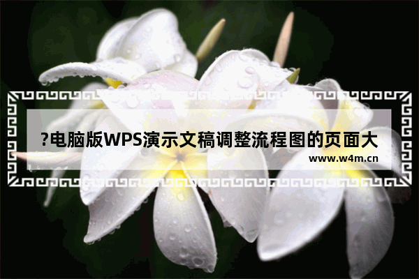 ?电脑版WPS演示文稿调整流程图的页面大小