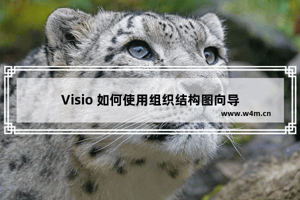 Visio 如何使用组织结构图向导