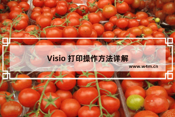 Visio 打印操作方法详解