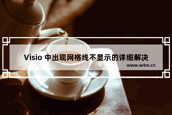 Visio 中出现网格线不显示的详细解决步骤