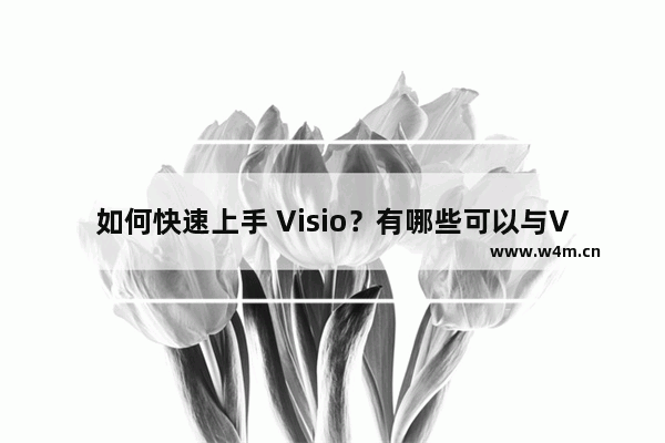 如何快速上手 Visio？有哪些可以与Visio相媲美的作图工具？