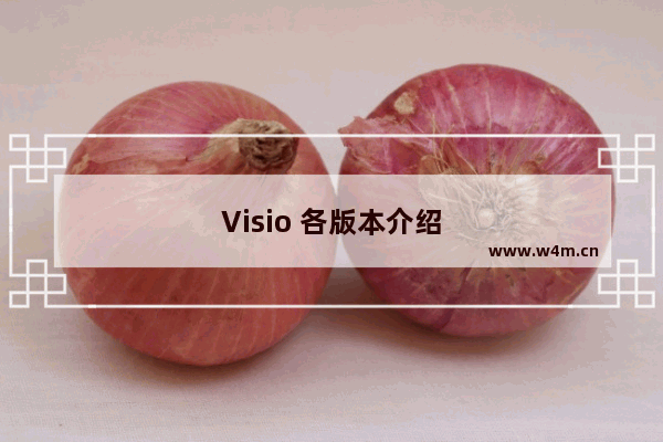 Visio 各版本介绍