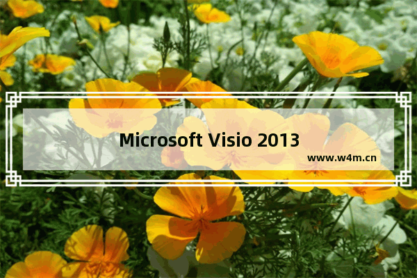 Microsoft Visio 2013保护文档的操作步骤