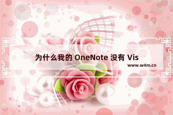 为什么我的 OneNote 没有 Visio 的“图表”功能项?