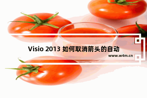 Visio 2013 如何取消箭头的自动连接功能