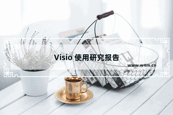 Visio 使用研究报告