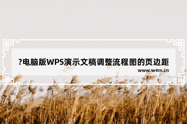 ?电脑版WPS演示文稿调整流程图的页边距