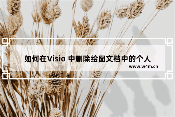 如何在Visio 中删除绘图文档中的个人信息