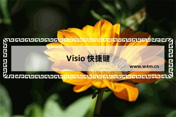 Visio 快捷键