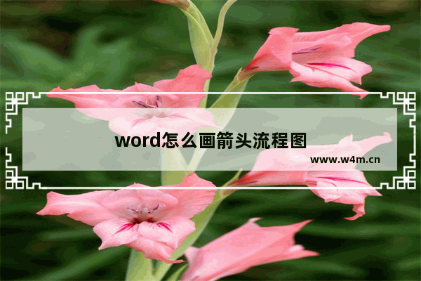 word怎么画箭头流程图