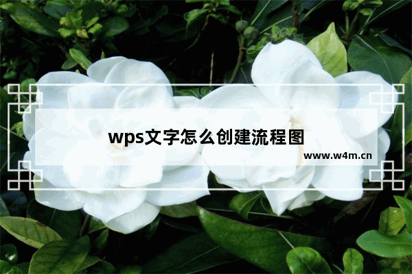 wps文字怎么创建流程图