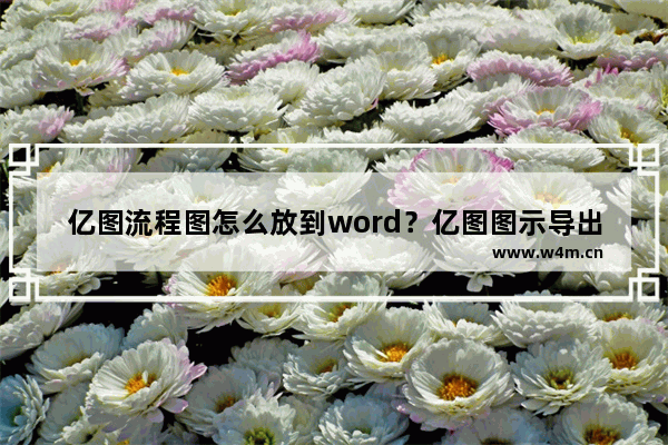 亿图流程图怎么放到word？亿图图示导出word教程