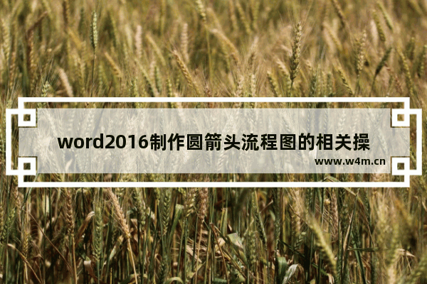 word2016制作圆箭头流程图的相关操作步骤