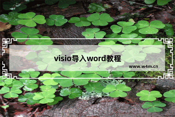 visio导入word教程