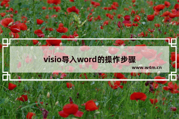 visio导入word的操作步骤