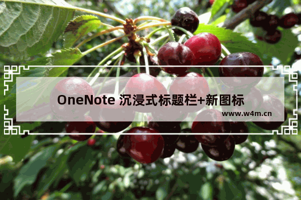 OneNote 沉浸式标题栏+新图标