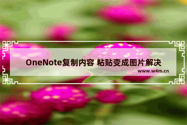 OneNote复制内容 粘贴变成图片解决方案