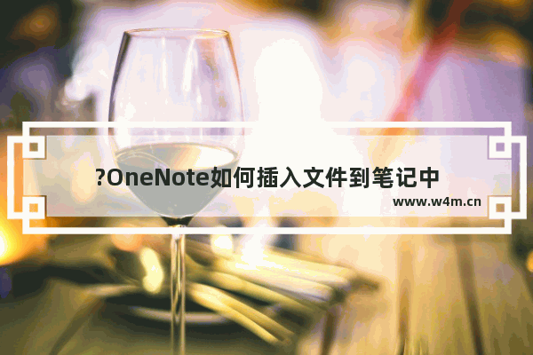 ?OneNote如何插入文件到笔记中