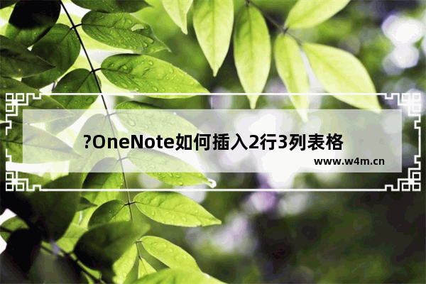 ?OneNote如何插入2行3列表格