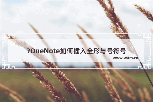 ?OneNote如何插入全形与号符号