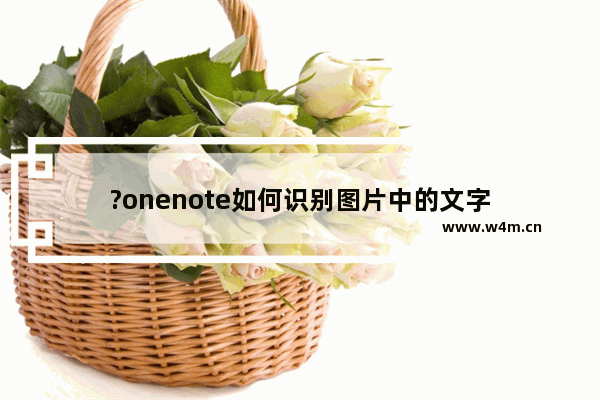 ?onenote如何识别图片中的文字