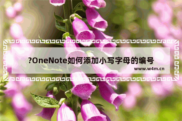 ?OneNote如何添加小写字母的编号