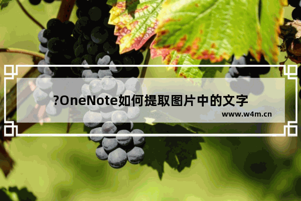 ?OneNote如何提取图片中的文字