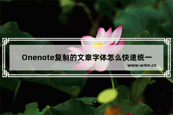 Onenote复制的文章字体怎么快速统一?