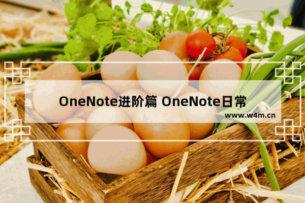 OneNote进阶篇 OneNote日常使用技巧