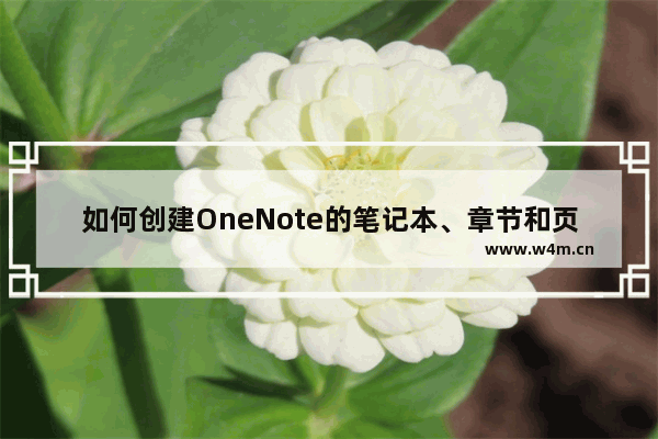 如何创建OneNote的笔记本、章节和页面