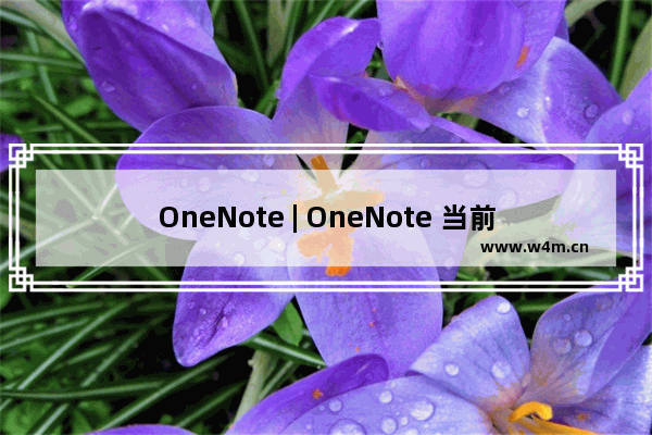 OneNote | OneNote 当前无法同步笔记。将继续尝试。 (错误代码: 0xE4020045)