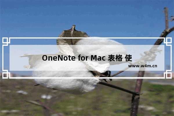 OneNote for Mac 表格 使用技巧