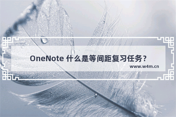 OneNote 什么是等间距复习任务？