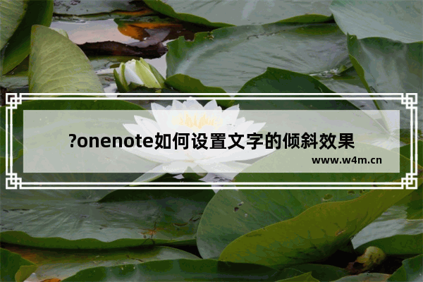 ?onenote如何设置文字的倾斜效果