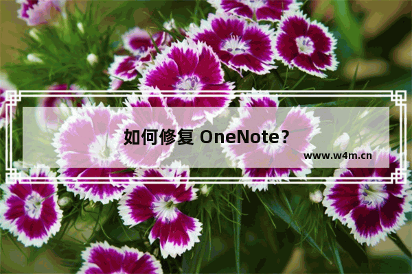 如何修复 OneNote？