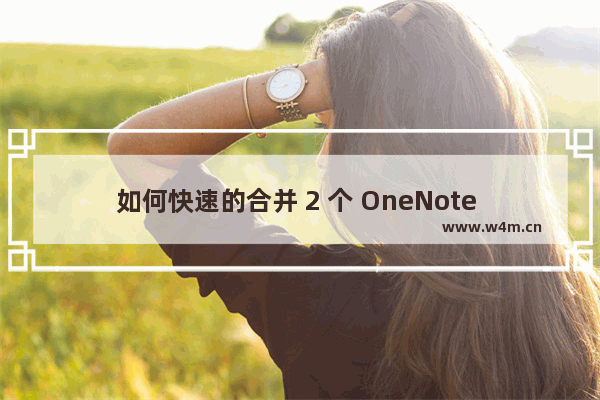 如何快速的合并 2 个 OneNote 文本容器?