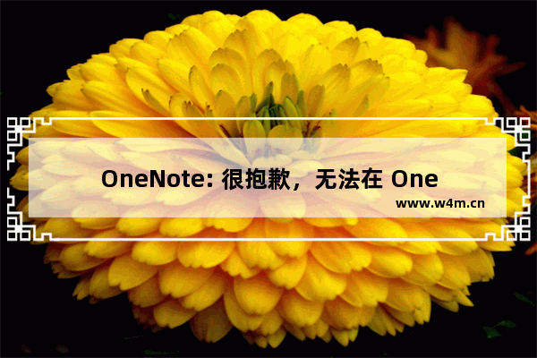 OneNote: 很抱歉，无法在 OneDrive 笔记本中插入大于 100 MB 的文件