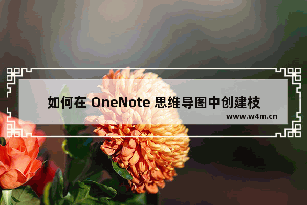 如何在 OneNote 思维导图中创建枝状图