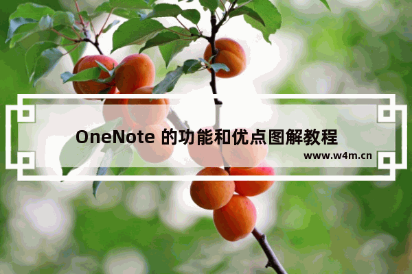 OneNote 的功能和优点图解教程