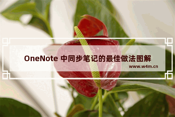 OneNote 中同步笔记的最佳做法图解教程