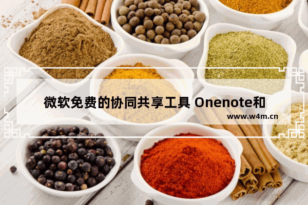 微软免费的协同共享工具 Onenote和SkyDrive的配合使用