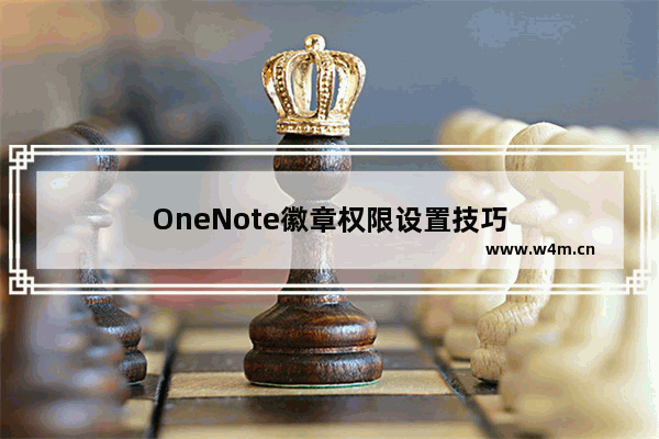 OneNote徽章权限设置技巧