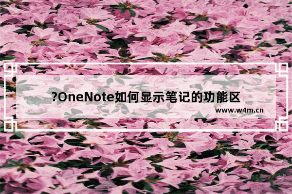 ?OneNote如何显示笔记的功能区