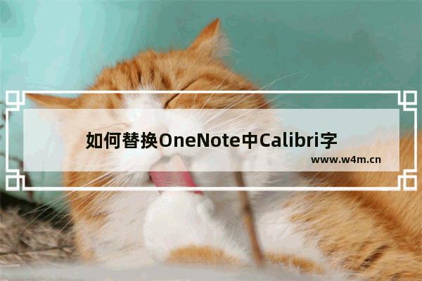 如何替换OneNote中Calibri字体