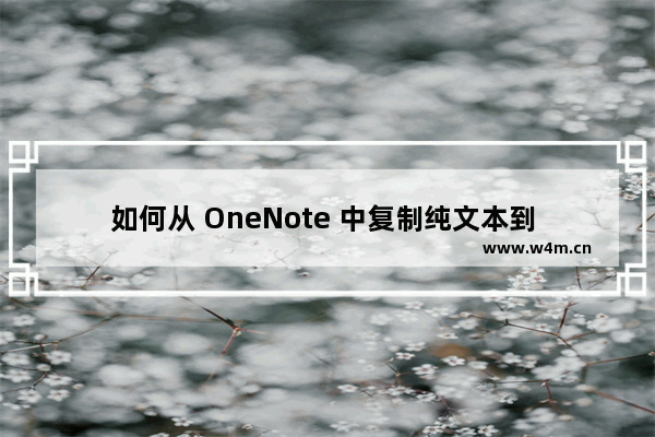 如何从 OneNote 中复制纯文本到 QQ