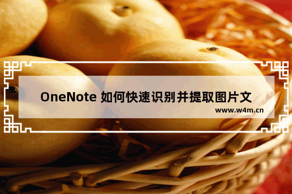 OneNote 如何快速识别并提取图片文字